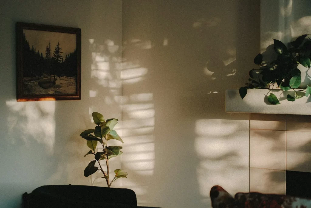 Pièce calme baignée de lumière naturelle, avec des plantes